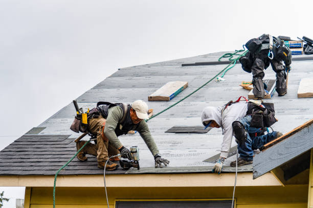 Professional Storm Damage Roof Repair technician working in Alexander, NY